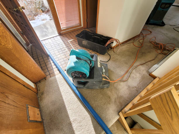 Best Water Damage Assessment and Inspection in Way, NE