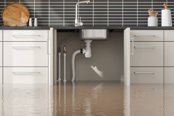 Best Water Damage Insurance Claim Assistance in Way, NE